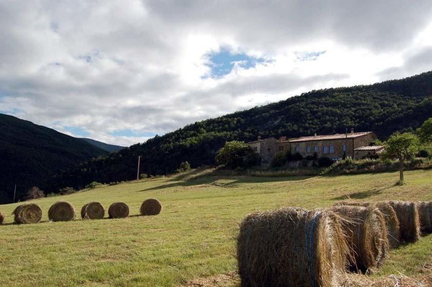 مبيت وإفطار Saint-André-de-Rosans La Ferme De La Condamine المظهر الخارجي الصورة