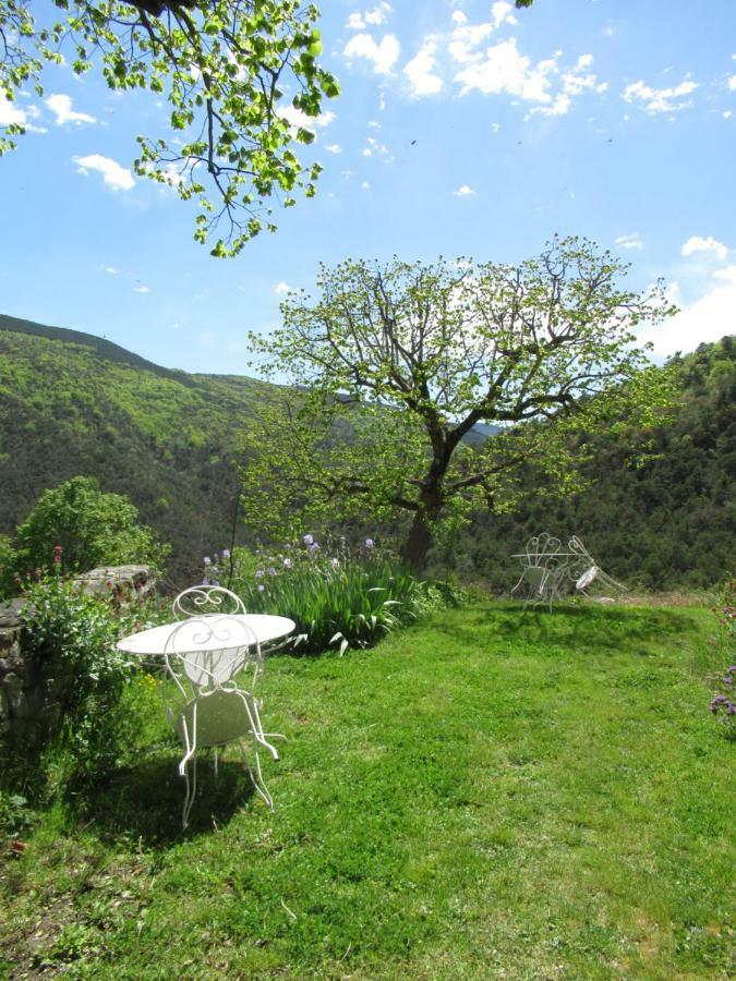 مبيت وإفطار Saint-André-de-Rosans La Ferme De La Condamine المظهر الخارجي الصورة